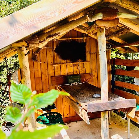 La Cabane Perchee Du Trappeur Écrainville 외부 사진