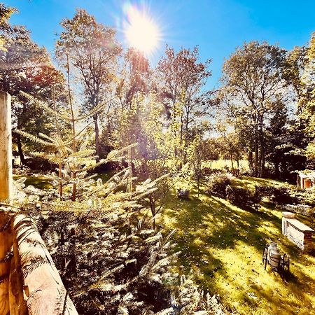 La Cabane Perchee Du Trappeur Écrainville 외부 사진