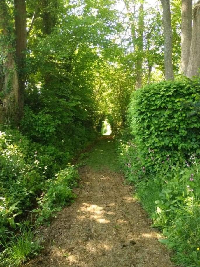 La Cabane Perchee Du Trappeur Écrainville 외부 사진