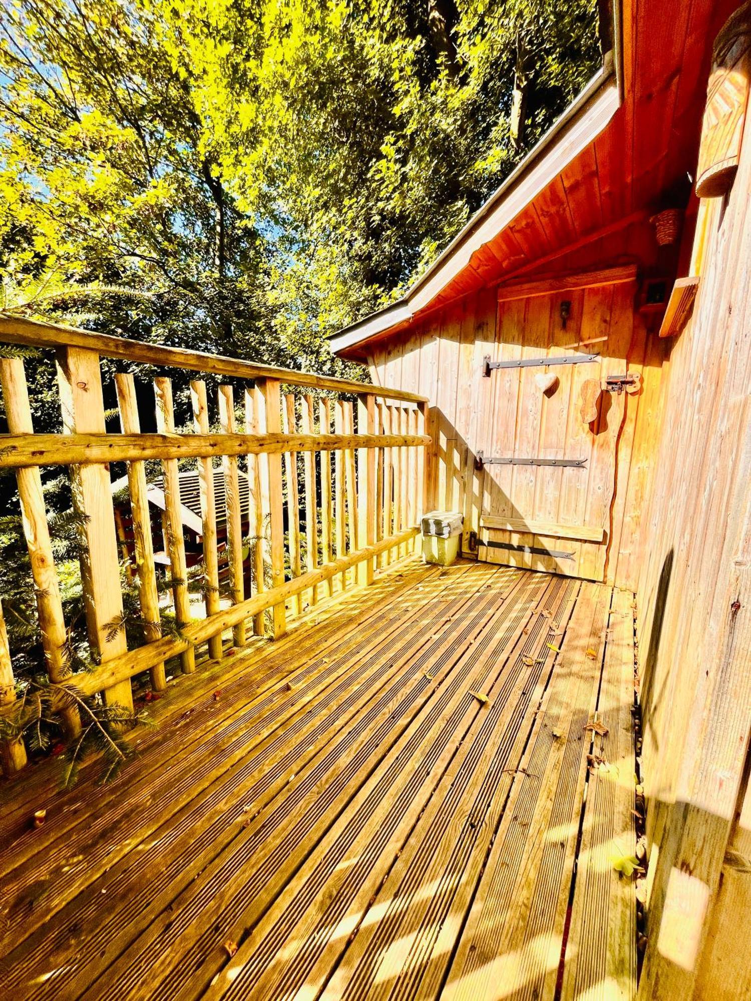 La Cabane Perchee Du Trappeur Écrainville 외부 사진
