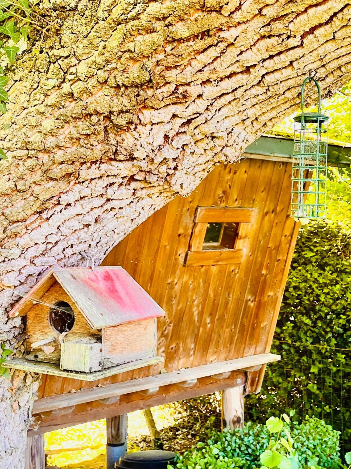 La Cabane Perchee Du Trappeur Écrainville 외부 사진
